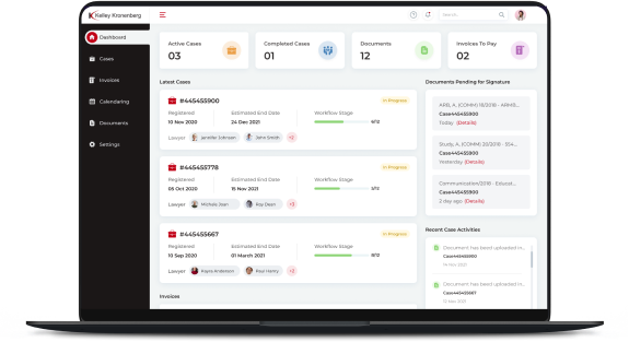 Legal Chatbots & Data Dashboards